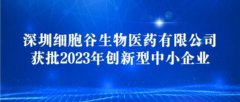 深圳圣淘沙网站获批2023年创新型中小企业