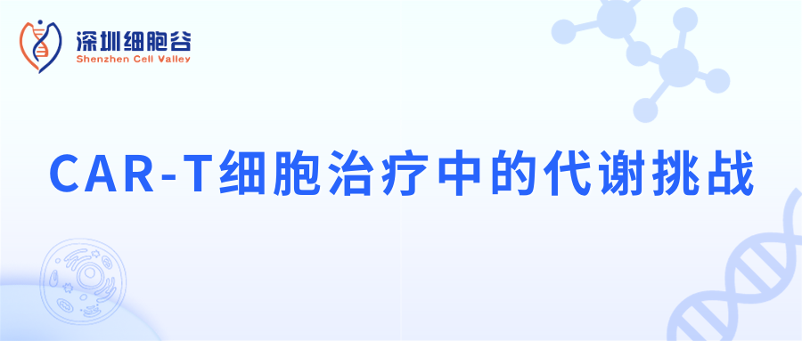 CAR-T细胞治疗中的代谢挑战