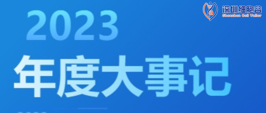 回眸展望，筑梦前行|深圳圣淘沙网站2023年度企业大事记