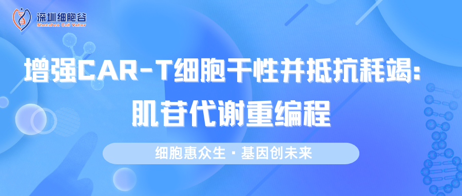 增强CAR-T细胞干性并抵抗耗竭：肌苷代谢重编程