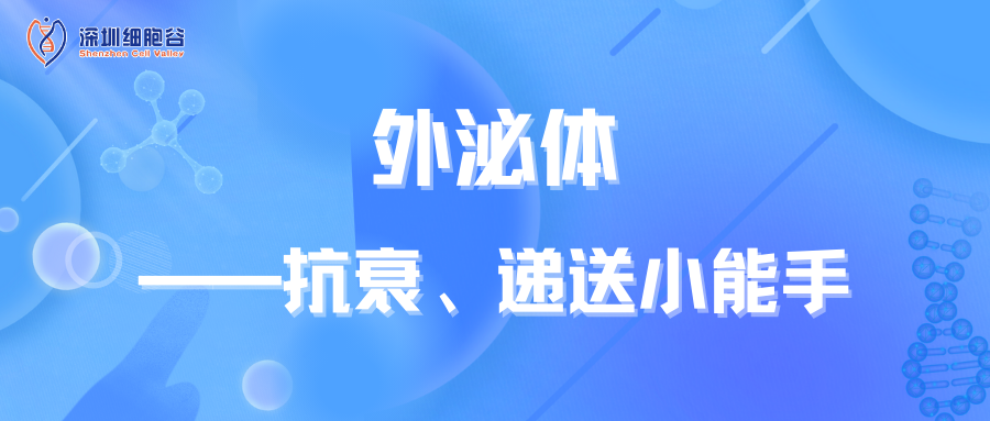 外泌体——抗衰、递送小能手